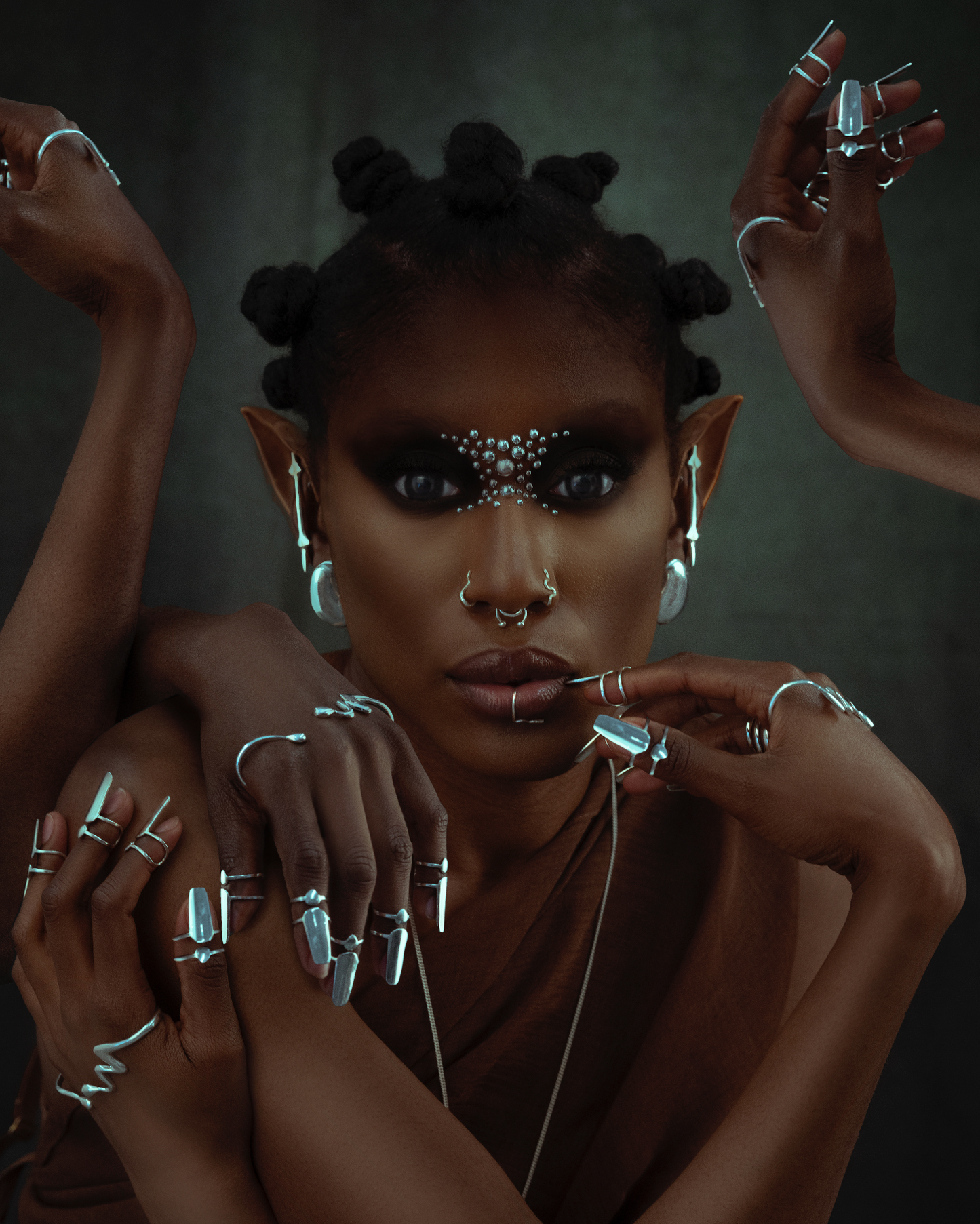 OPHIUCHUS NOSE RINGS